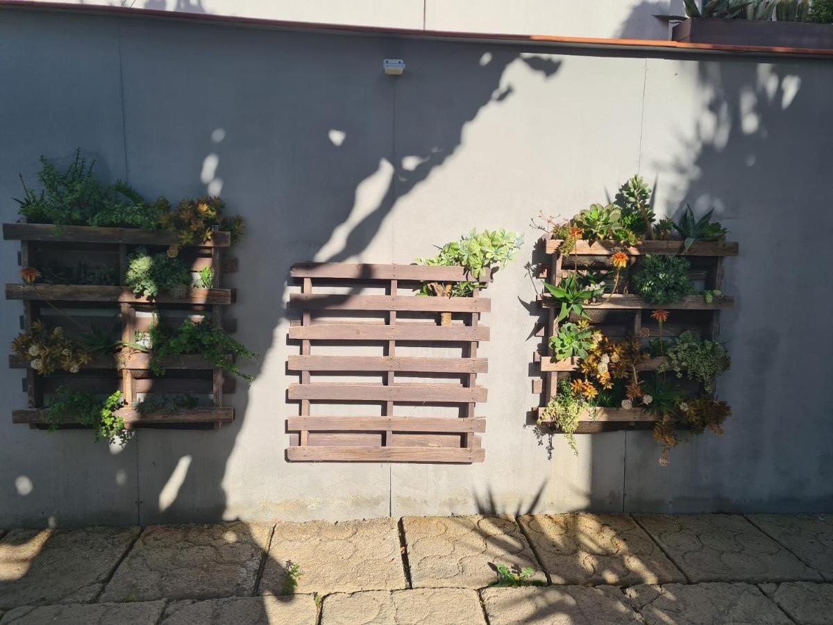 Pardelo Διαμέρισμα Costa Adeje  Εξωτερικό φωτογραφία